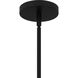 Wisp 1 Light 14.5 inch Matte Black Pendant Ceiling Light