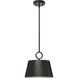 Parkhurst 1 Light 12 inch Matte Black Pendant Ceiling Light