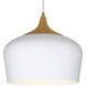 Blend LED 12 inch White with Wood Grain Pendant Ceiling Light