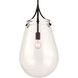 Dewdrop 1 Light 13.5 inch Matte Black Pendant Ceiling Light
