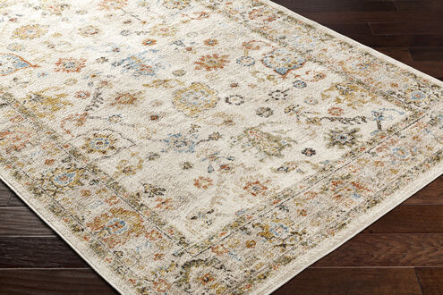 Pertek 87 X 31 inch Taupe Rug, Runner