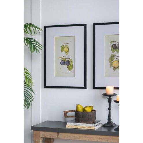 Smithsonian Black and Green/Yellow Wall Art, Assorted Fruit