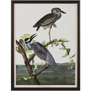Audubon Collection Group 43 X 33 inch Giclee, IV-B