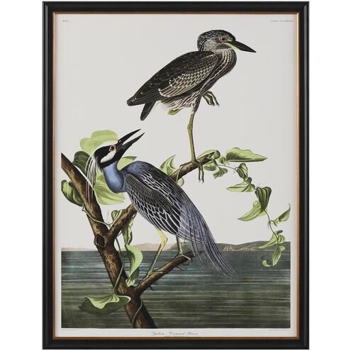 Audubon Collection Group 43 X 33 inch Giclee, IV-B