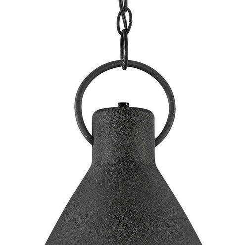 Winnie LED 12 inch Aged Zinc with Distressed Black Indoor Pendant Ceiling Light