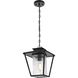Gaul 1 Light 10 inch Black Outdoor Pendant