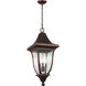 Sean Lavin Oakmont 3 Light 12 inch Patina Bronze Outdoor Pendant