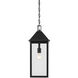 Prin 1 Light 9 inch Black Outdoor Hanging Pendant