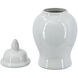 Anita 12.2 X 6.3 inch Ginger Jar in Ivory