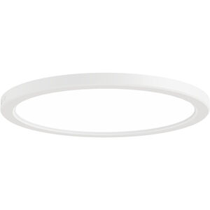 Firefly 11.80 inch Flush Mount