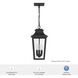 Spring Cove 3 Light 8 inch Matte Black Outdoor Pendant, Large