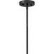 Nadia 1 Light 11 inch Black Pendant Ceiling Light
