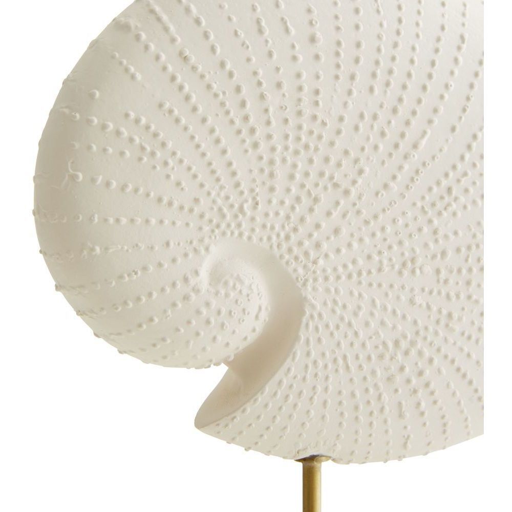 Shell White Sculptures, Set of 3
