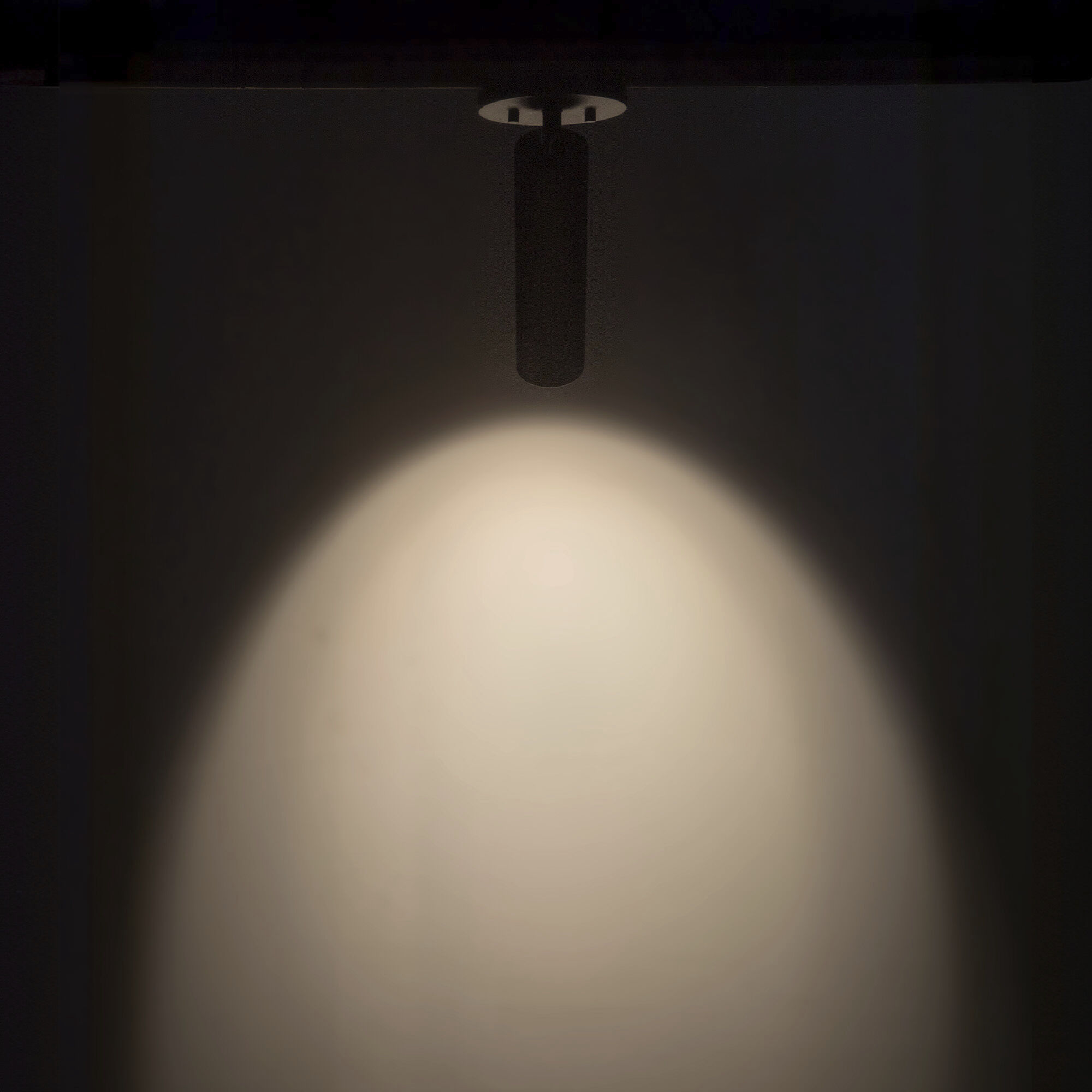 Lorna LED 4.38 inch Black Adjustable Ceiling Mount Ceiling Light