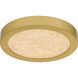 Outskirts LED 7.5 inch Brushed Gold Flush Mount Ceiling Light, Small