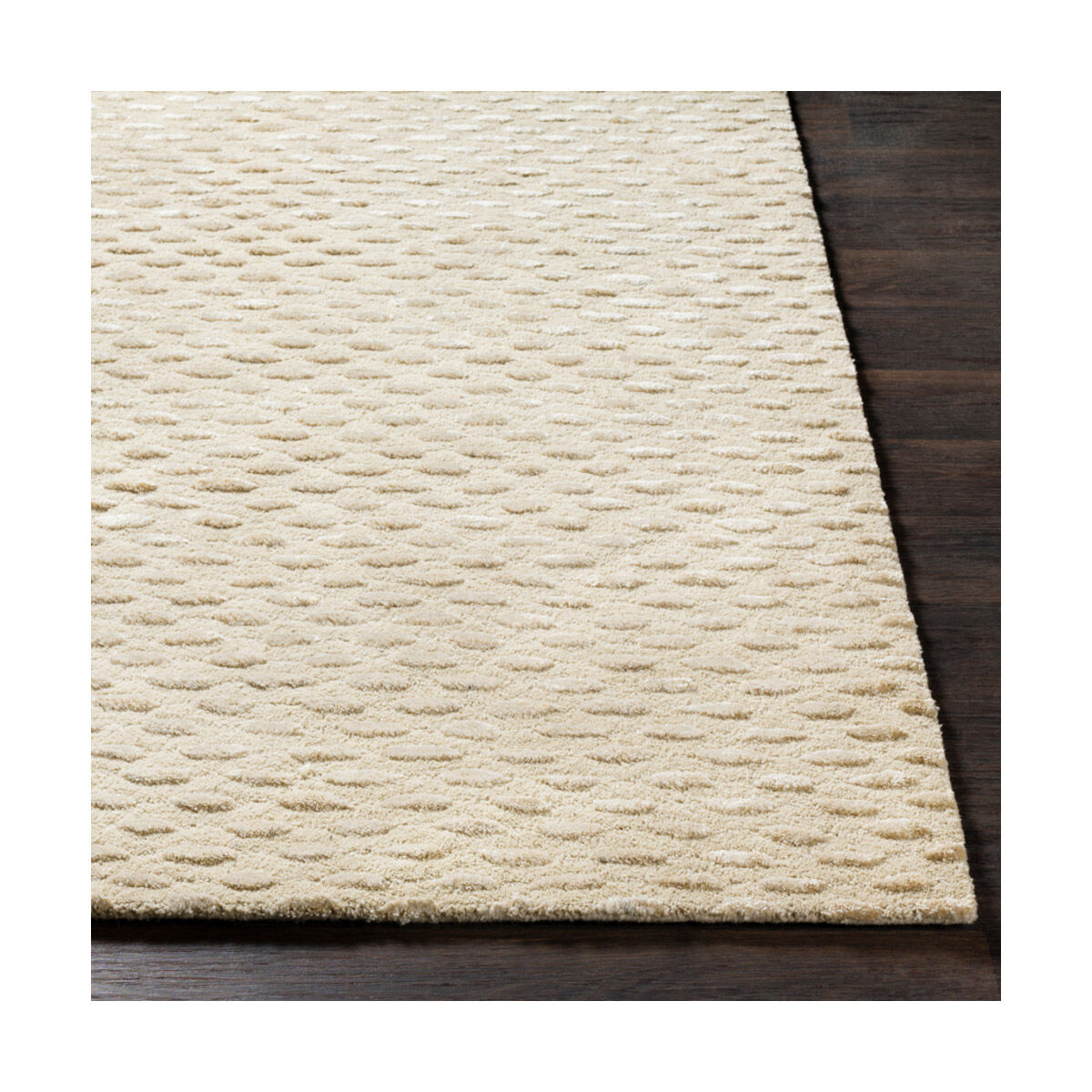 Atlantis 96 X 60 inch Cream/Beige Rugs, Rectangle
