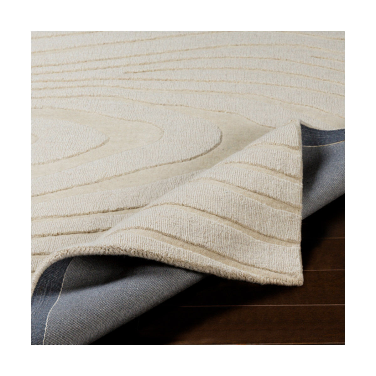 Mystique 63 X 39 inch Cream Rugs, Rectangle