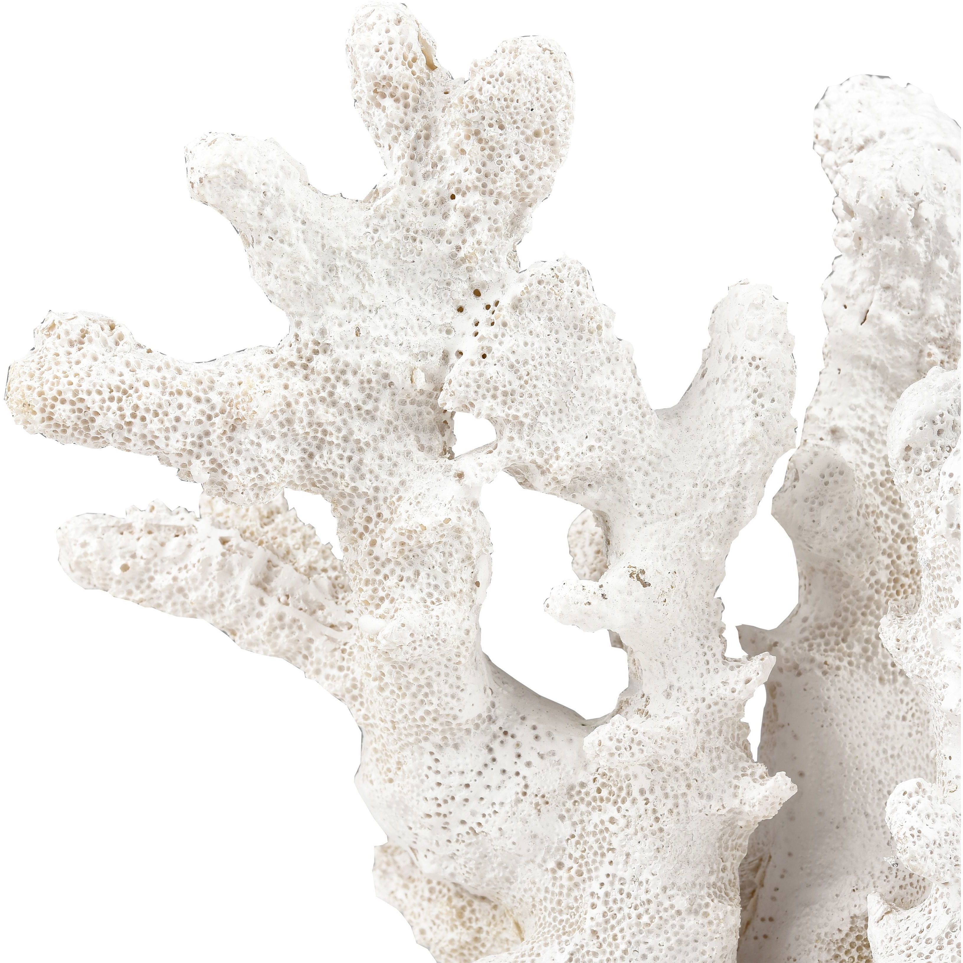 Coral 11.75 X 8.25 inch Sculpture, Set of 2