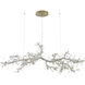 Canada 30 Light 30 inch Gold Chandelier Ceiling Light