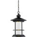 Genesis LED 12 inch Black Outdoor Chain Mount Ceiling Fixture