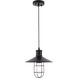 Flaneur 1 Light 11 inch Black Pendant Ceiling Light