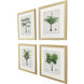Field Notes Blue and Green and Yellow and Pink Framed Art, Propac