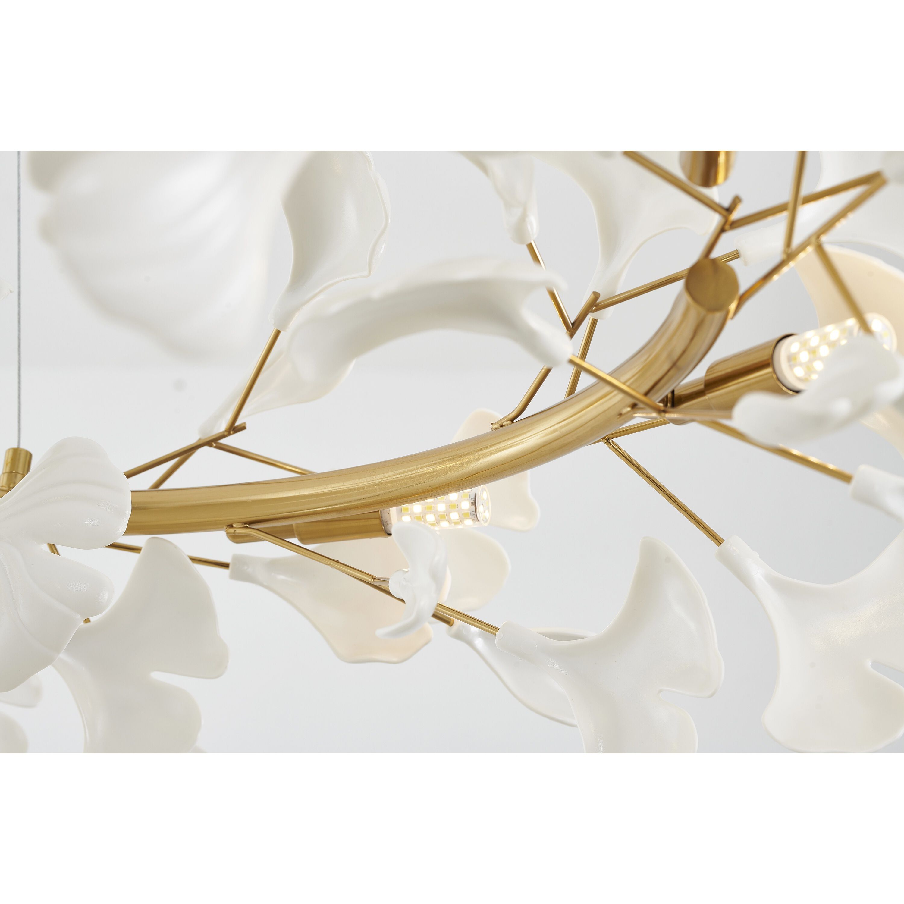 Canada 8 Light 31.5 inch Brass and Matte White Chandelier Ceiling Light