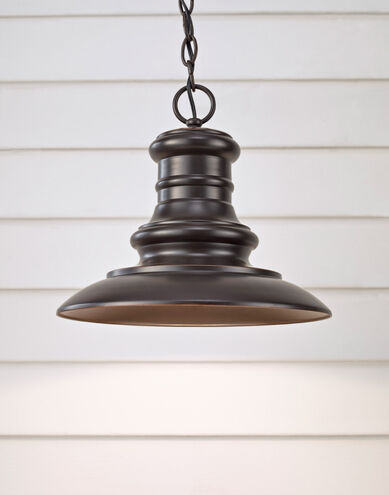 Aspel 1 Light 12 inch Restoration Bronze Outdoor Hanging Lantern