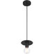Central 1 Light 6 inch Black Pendant Ceiling Light