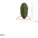 Banana Leaf 3 Light 12 inch Banana Leaf Wall Sconce Wall Light
