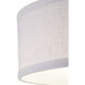 Briscoe 2 Light 13 inch Graphite Semi-Flush Mount Ceiling Light