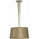 Citrine 2 Light 18 inch Brass Pendant Ceiling Light