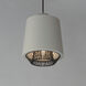 Phoenix LED 9 inch Gray and Black Single Pendant Ceiling Light