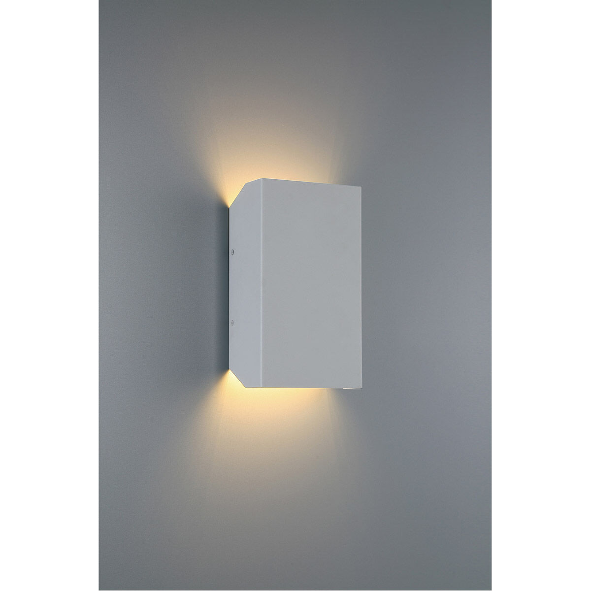 Amora LED 10 inch Satin Outdoor Wall Sconce