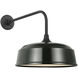Thomas O'Brien Academy Barn Light LED 17 inch Matte Black Rex Barn Light in 16" Green Rockhouse Shade
