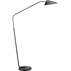 Jerome 62 inch 40.00 watt Black Floor Lamp Portable Light