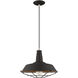 Allison 1 Light 14 inch Black Mini Pendant Ceiling Light