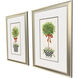 Ribbon Topiary Green and Black and Red and White Framed Art, Propac