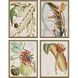 Florals Collection Orange Framed Art