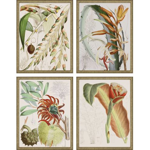 Florals Collection Orange Framed Art