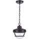 Eastport 1 Light 9 inch Oil Rubbed Bronze Outdoor Pendant