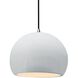Radiance LED 10 inch Gloss White and Brushed Nickel Pendant Ceiling Light