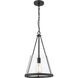 Lux 1 Light 12.00 inch Mini Pendant