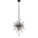 Orbital 16 Light 20 inch Carbon Pendant Ceiling Light