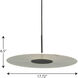 Spoke LED LED 18 inch Matte Black Pendant Ceiling Light, Progress LED