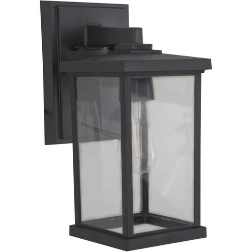 Resilience 1 Light 6.25 inch Textured Black Outdoor Lantern in Clear Glass