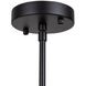 Pullman LED 17 inch Black Pendant Ceiling Light