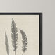 Modern Ferns Neutral and Black and Beige Framed Art