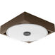 Frame LED 9 inch Architectural Bronze Wall Sconce Wall Light