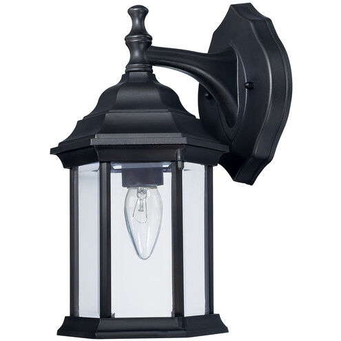 Outdoor 1 Light 12 inch Black Outdoor Wall Lantern